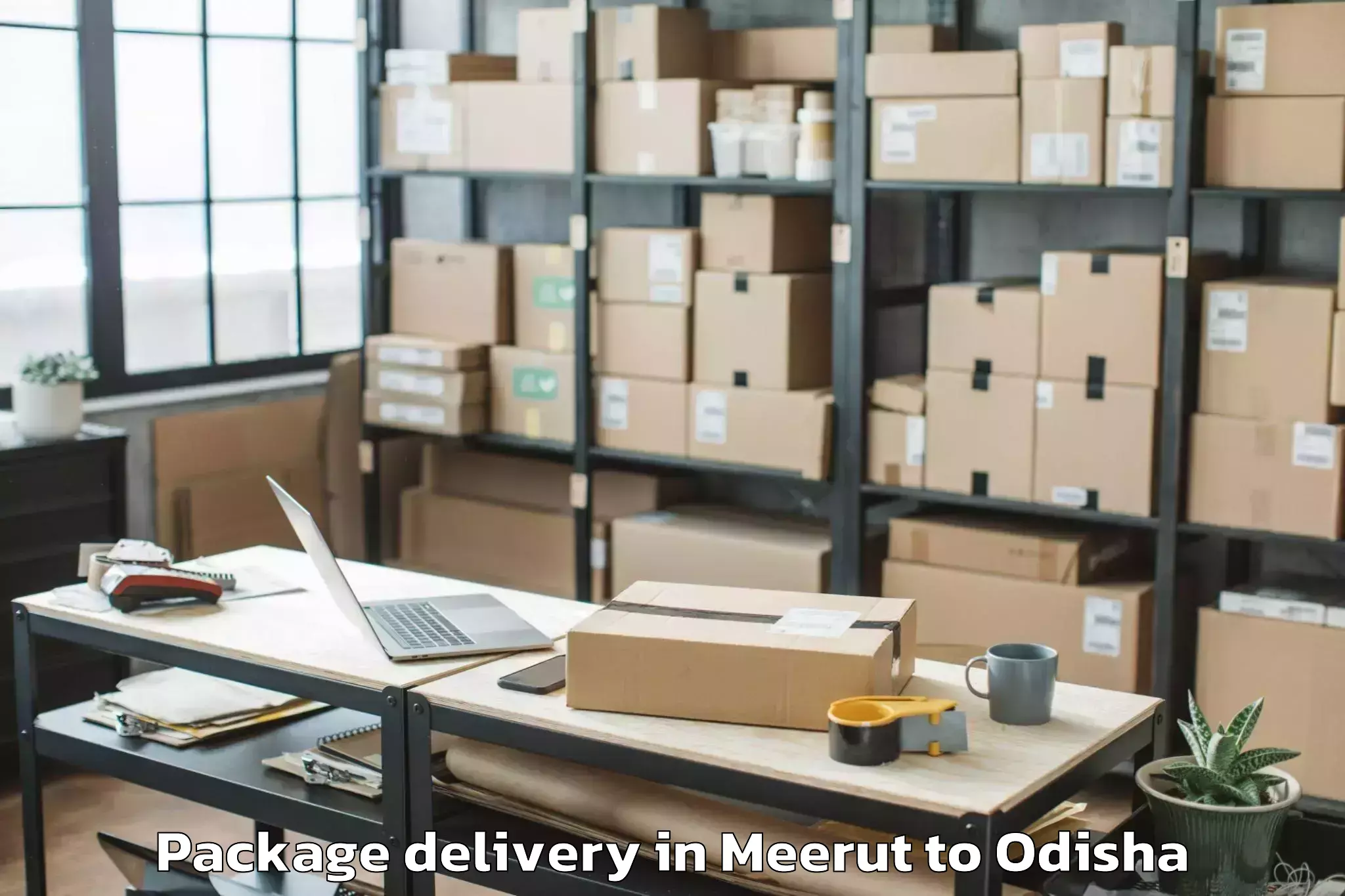 Quality Meerut to Baudh Package Delivery